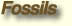 Fossils