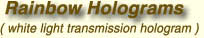 ( white light transmission hologram )