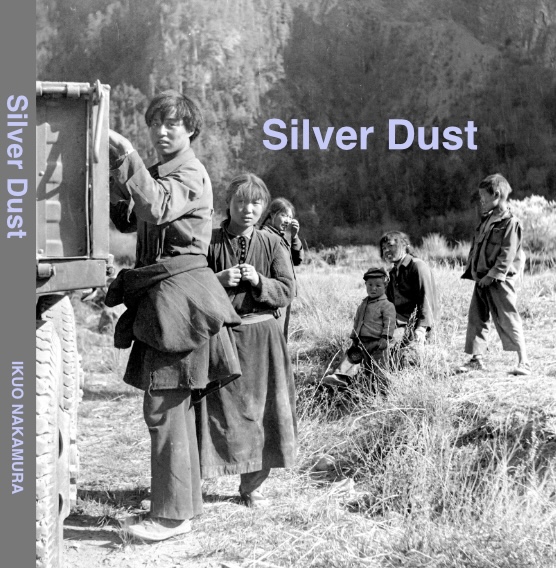 Silver Dust Book Front Cover Plate